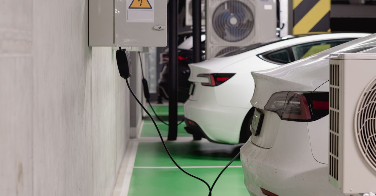 Electric Vehicle Fleet Management